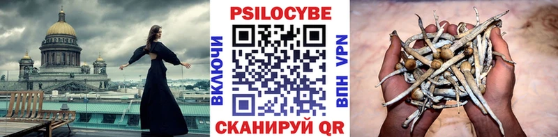 купить наркотики цена  гидра сайт  Галлюциногенные грибы прущие грибы  Ильский 